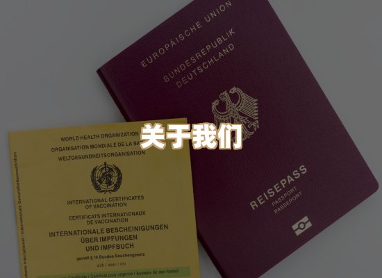 关于蓝帝图文网